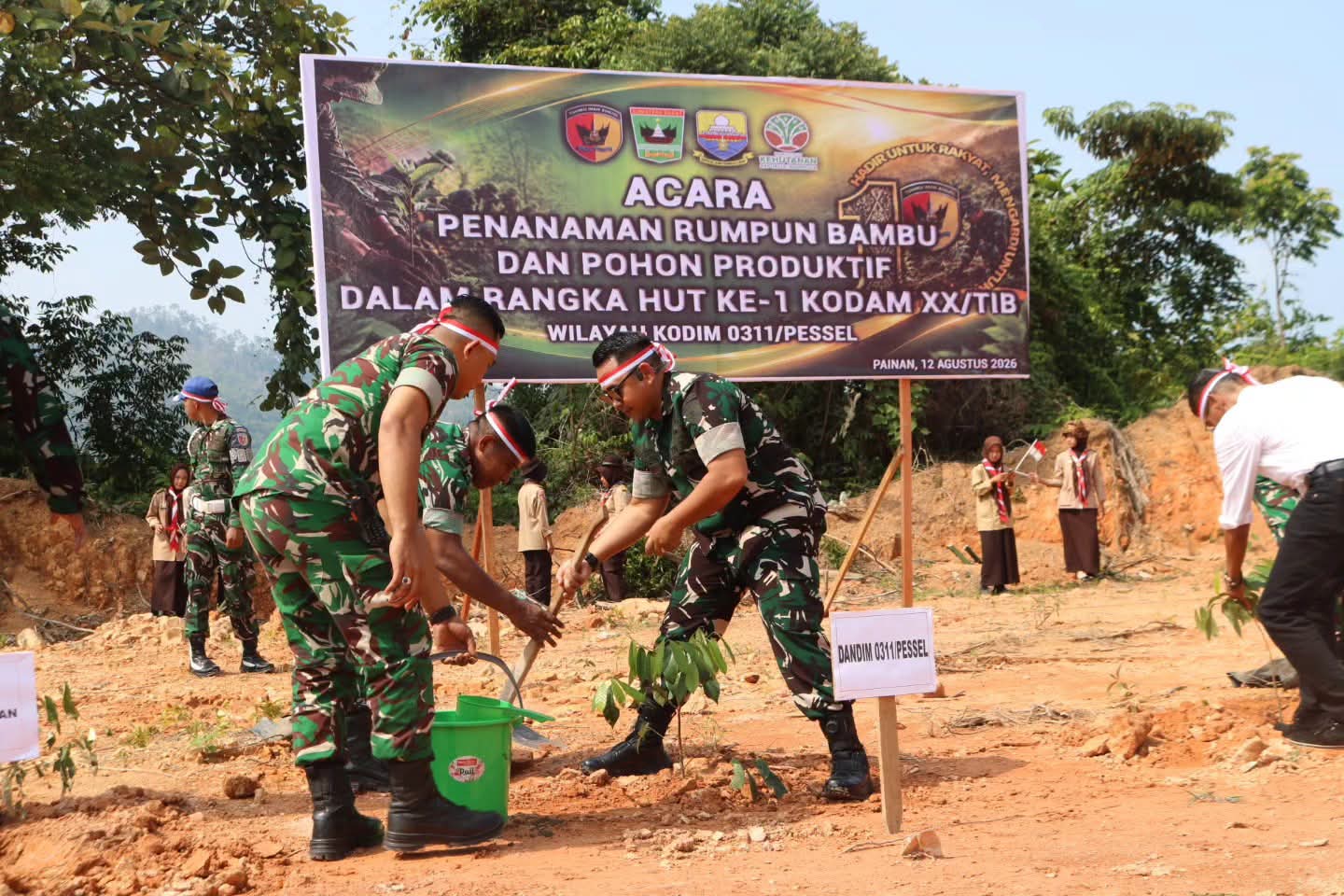 Rawat Alam dari Puncak Painan, Pemkab Pessel dan TNI Tanam Bambu serta Pohon Produktif